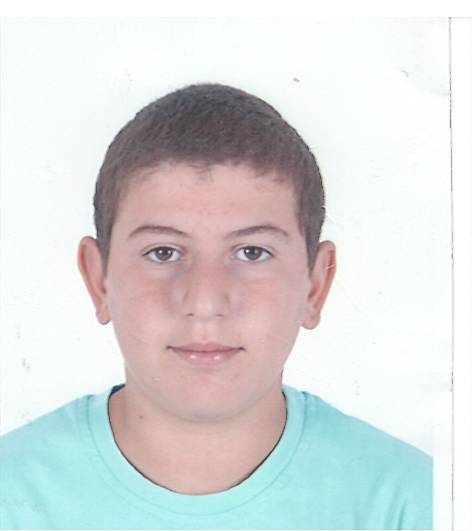 AHMET HALIKSEVEN