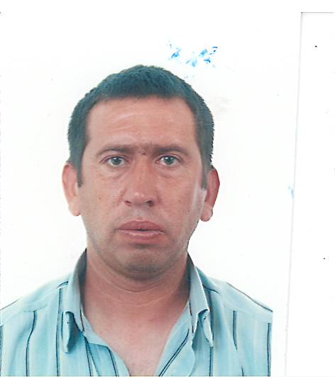 MEHMET  BOLAT