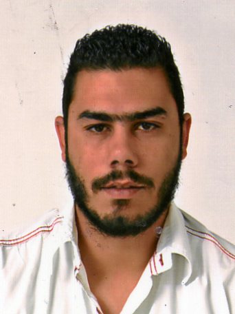 ERGİN ELSİZ