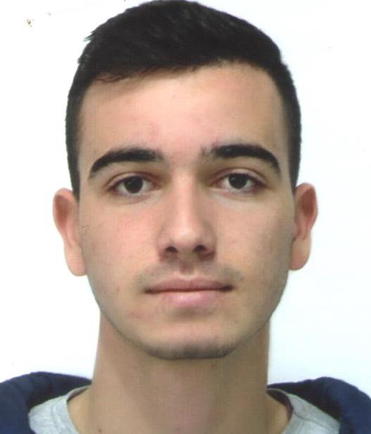 AHMET ALEVKAYALI