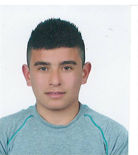 MEHMET EROL