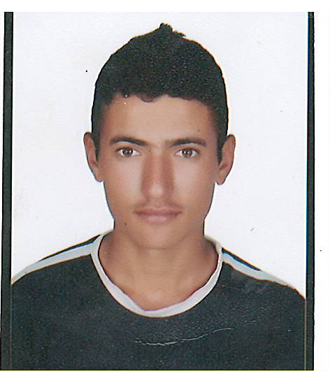 YILMAZ PAPATYA