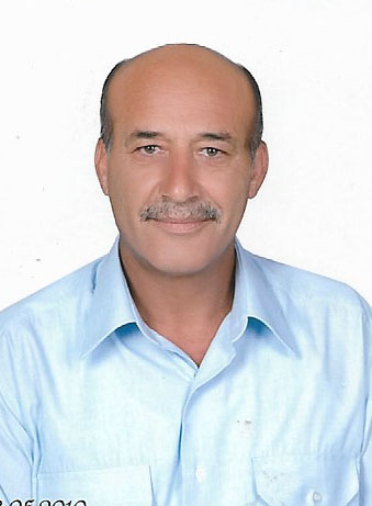 GÜRSEL SEKMEN