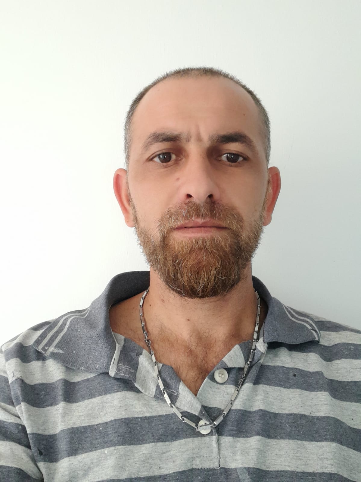 GÜRSEL GÖK